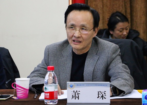 3萧琛教授发言 3萧琛教授发言