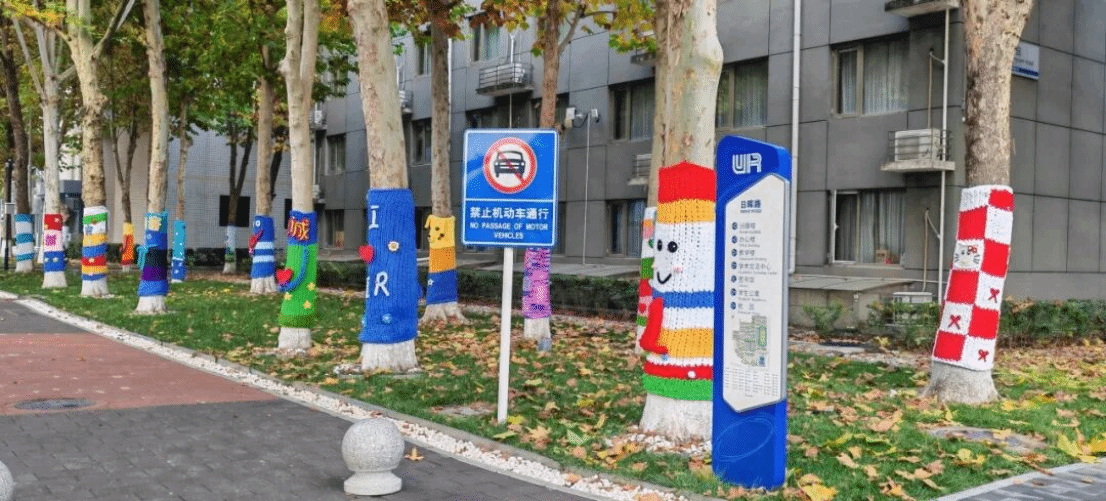 国关的秋 五彩斑斓